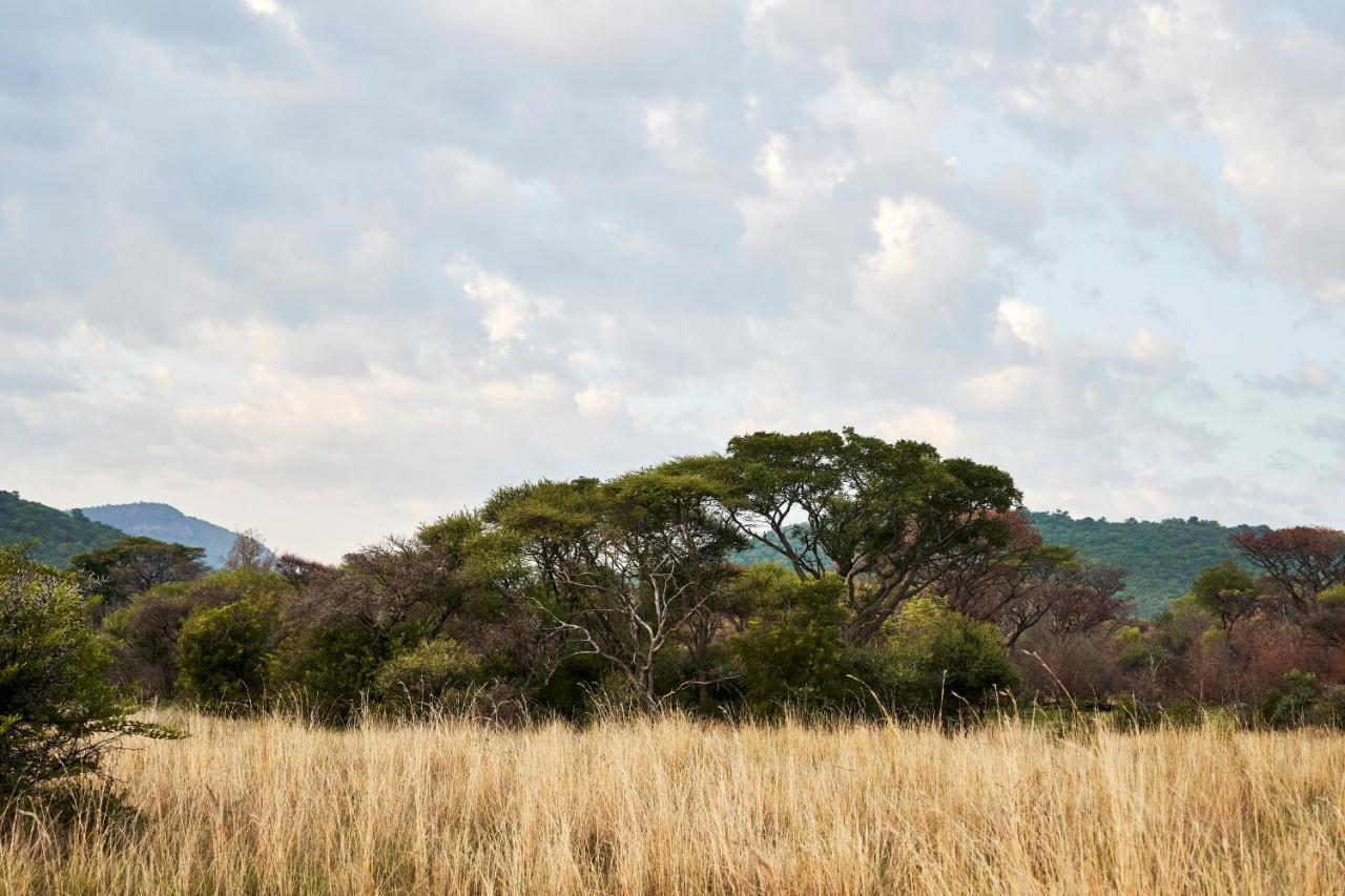 Letamo At Qwabi Private Game Reserve By Newmark ベラ・ベラ エクステリア 写真
